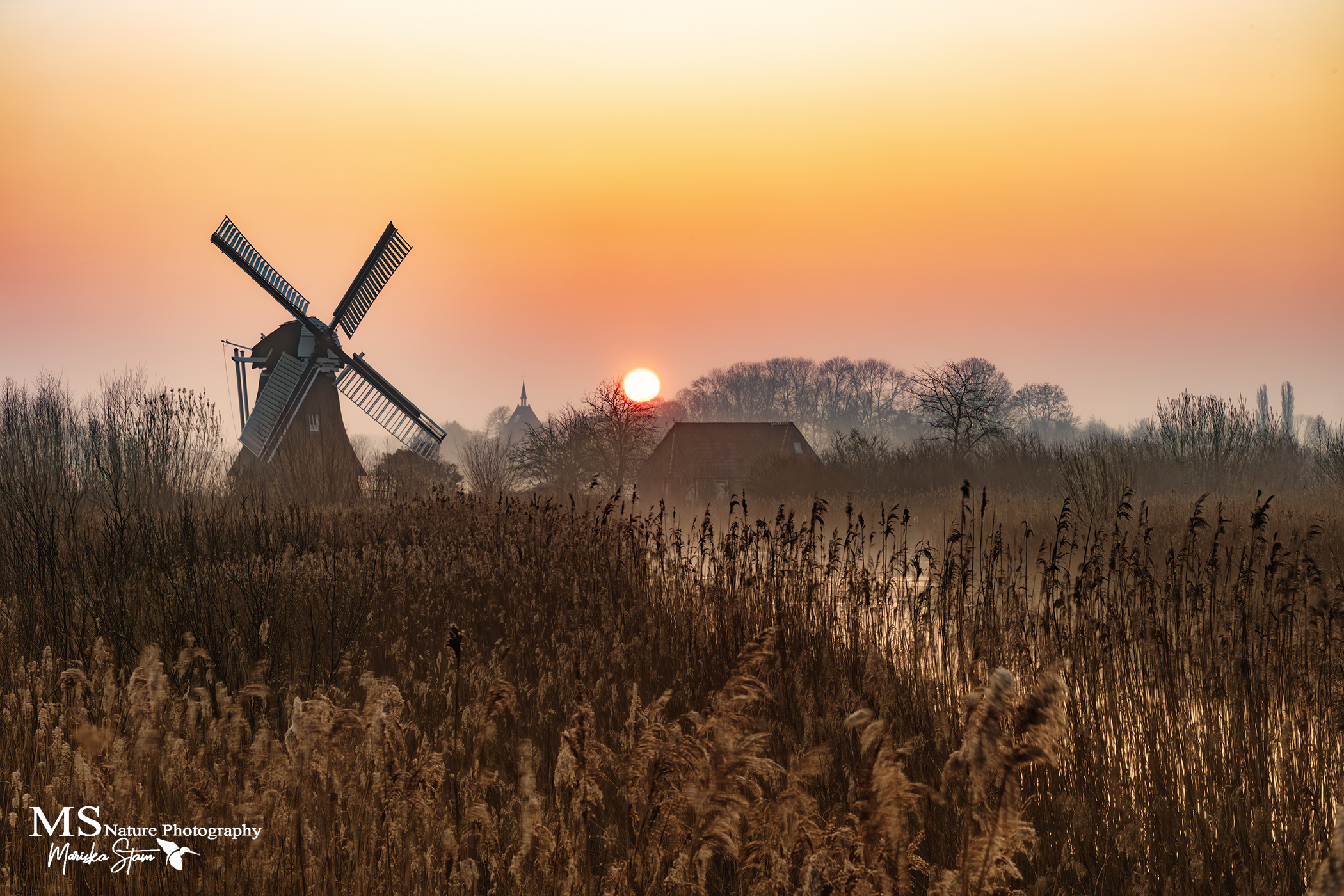 Vroege sfeervolle ochtendgloren